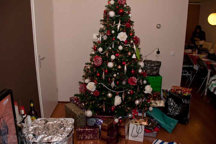 Kerst familie Gomes 2010-1.jpg